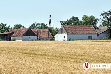 Fotó: Gergely Árpád