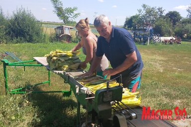 Almásiék gyakorlott kezekkel dolgoznak (Jenei Klementina felvétele)