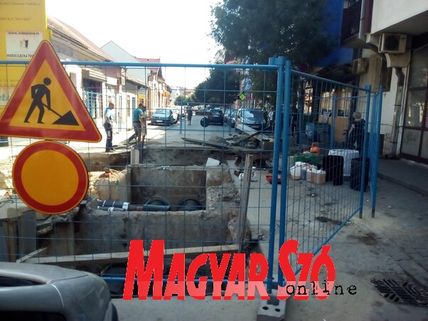 Fotó: Szeli Balázs