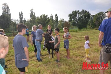 A lovacskáknak köszönhetően gyermekkacajjal telt meg vasárnap délután a bácskossuthfalvi Koplaló (Kazinczy Paszterkó Diana felvétele)