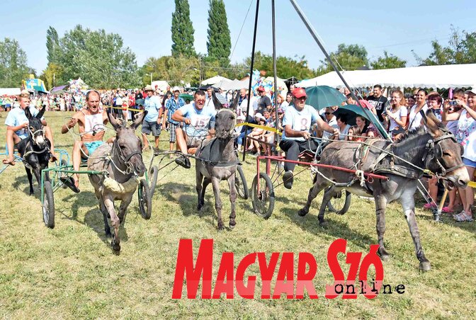 (Gergely Árpád archív felvétele) (Gergely Árpád archív felvétele)