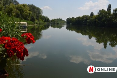 Korlátos, a Felső-Duna mente egyik gyöngyszeme (Illusztráció/Fekete J. József felvétele)