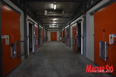 A hűtőházban 170 vagon almának van hely (Fotó: Patyi Szilárd)