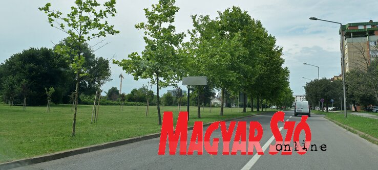 A Limán IV. lakói arra kérik a Lidl vállalatot, hogy az új üzlet megépítésekor környezetbarát megoldásokat válasszanak (Ótos András felvétele) A Limán IV. lakói arra kérik a Lidl vállalatot, hogy az új üzlet megépítésekor környezetbarát megoldásokat válasszanak (Ótos András felvétele)