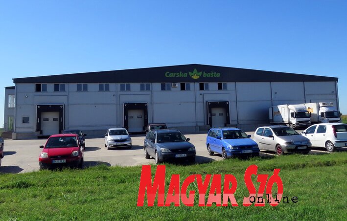 Jó évre számítanak a kertészek (Kecskés István felvétele)