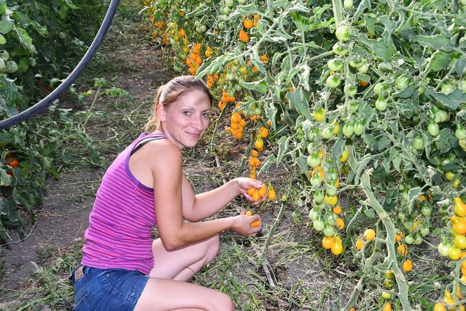Az első helyszínek, amelyekre ellátogattak, Magyarkanizsán voltak (Puskás Károly felvétele)