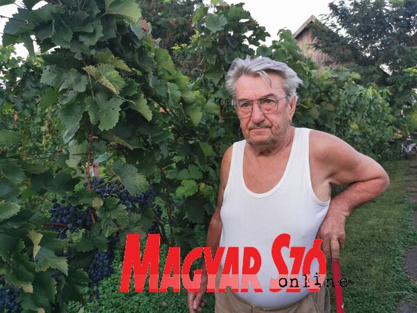 Nagy Béla (Ádám Jennifer felvétele) Nagy Béla (Ádám Jennifer felvétele)