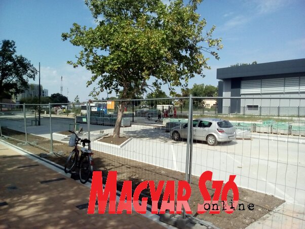 (Szeli Balázs felvétele)