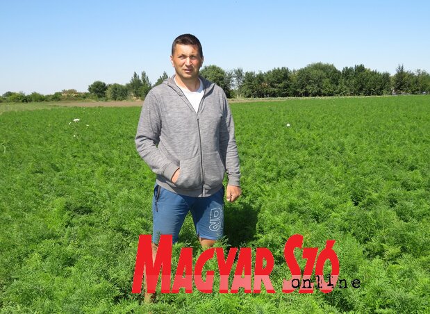 Lajkó Zoltán (Csincsik Zsolt felvétele) Lajkó Zoltán (Csincsik Zsolt felvétele)