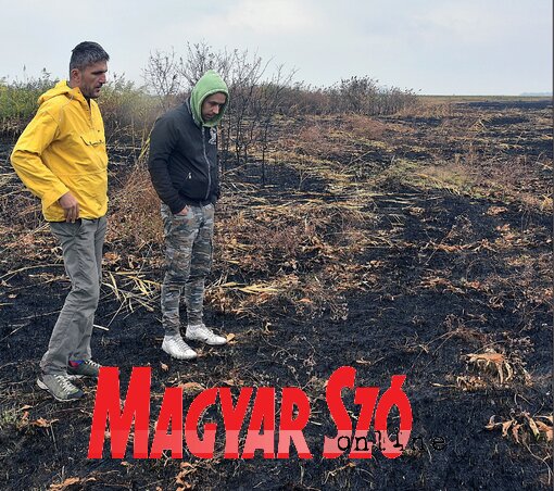 Nikola Stojnić ornitológus és Darko Lazarević biológus a tűzkárt próbálja felbecsülni (Gergely József felvétele)