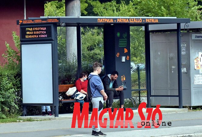 (Fotó: Gergely Árpád) (Fotó: Gergely Árpád)