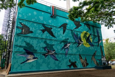 (Fotó: Szegedi Tükör)