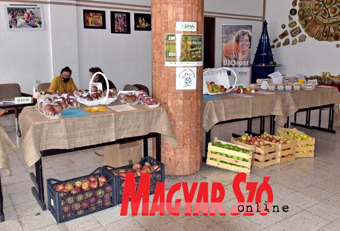 A biotermékek kiállítása a Szabadegyetem előcsarnokában tekinthető meg (Fotó: Gergely Árpád) A biotermékek kiállítása a Szabadegyetem előcsarnokában tekinthető meg (Fotó: Gergely Árpád)