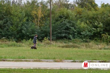 Hamarosan megkezdődhet a munkálatok második fázisa az Újtelep és a Heréskert között épülő parkban. A terület eddig is zöld volt, hamarosan rendezett útrendszeren juthatunk majd be a tervszerűen ültetett fák közé (Ótos András felvétele)