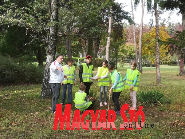 Általános és középiskolások csinosították a parkot (Fehér Rózsa felvétele)