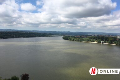 Újvidéken a Duna menti partszakaszok gyakran szeméttelepre hasonlítanak, továbbra sincs megoldva karbantartásuk (Halász Gyula felvétele)