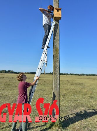 Az odúk elhelyezése Feketetó határában