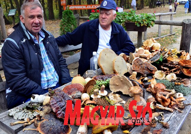 Fotó: Dávid Csilla