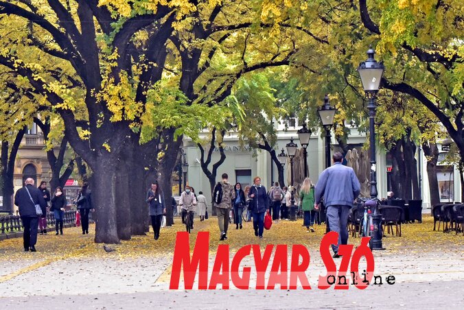 Júniustól októberig folyamatosan nőtt a munkavállalók száma Szabadkán (Fotó: Gergely Árpád) Júniustól októberig folyamatosan nőtt a munkavállalók száma Szabadkán (Fotó: Gergely Árpád)