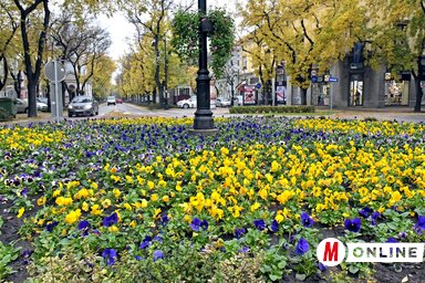 (Fotó: Gergely Árpád)