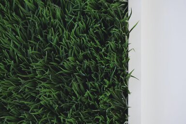 Műpázsit (Illusztráció/Scott Webb/Pexels)