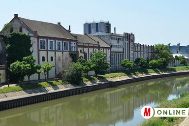 Azt ígérik, hogy megszabadul a szennyvíztől a Béga (Kecskés István felvétele)
