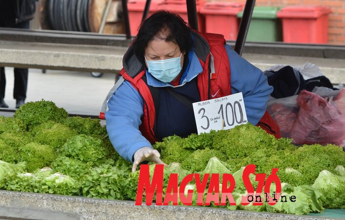 Ótos András illusztrációja