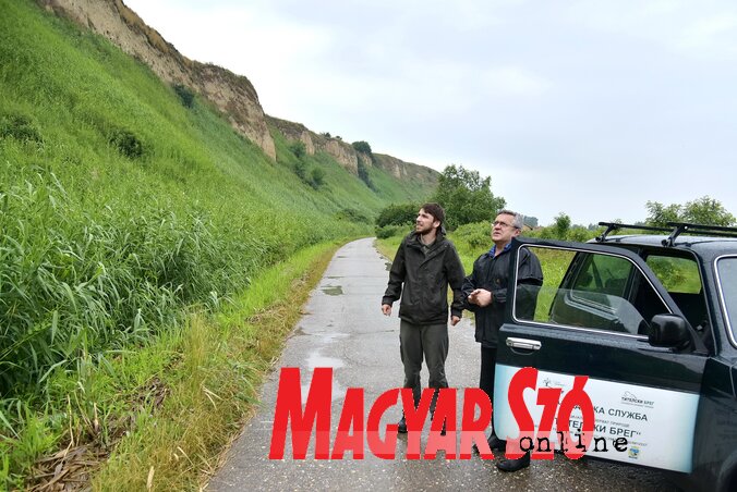 A nád magasra kúszott a löszfalon A nád magasra kúszott a löszfalon