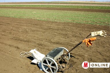 Kezdődik a tagosítás, az apró parcellás művelés kevésbé hatékony (Gergely József felvétele)