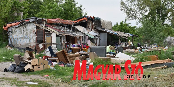 Đurkićék 14 éve élnek a Limán 4 és a Telep közötti réten, a területet hamarosan „rendeltetésszerűen beépítik”, ezért kiköltöztetik őket (Ótos András felvétele)