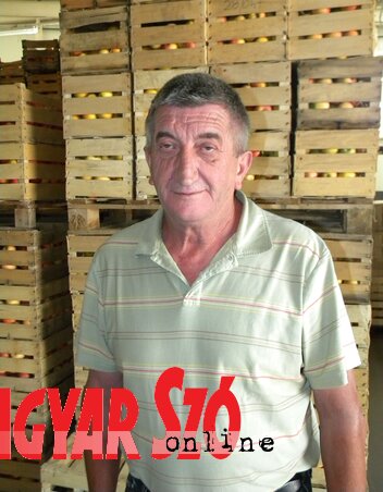 Fogas Vilmos: Öntözés nélkül intenzív gyümölcstermesztéssel ma már nem lehet foglalkozni (Fotó: Benedek Miklós) Fogas Vilmos: Öntözés nélkül intenzív gyümölcstermesztéssel ma már nem lehet foglalkozni (Fotó: Benedek Miklós)