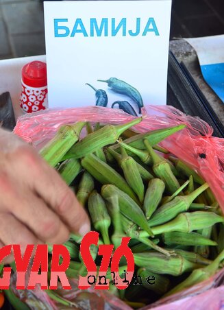 A fáraók is használták, hozzánk is eljutott: a trópusi, szubtrópusi bámia, okra vagy gombó néven ismert, növényi rostokban, vitaminban gazdag zöldségféle