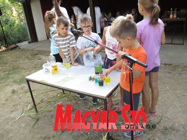 Fotó: Sihelnik Ágnes