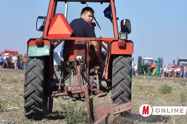 A kiszáradt talajt nem könnyű simára elmunkálni (Gergely József felvétele)