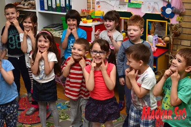 Az OECD adatai szerint Szerbiából átlagban évente 26 ezer fő vándorol ki e szervezet tagországaiba (Dávid Csilla felvétele)