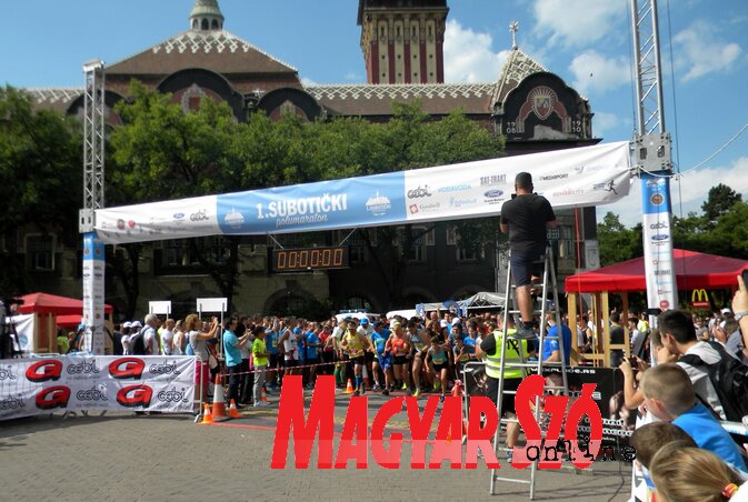 Csaknem ötszáz versenyző rajtolt el az első szabadkai félmaratonon (Benedek Miklós felvétele)