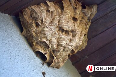 Fotó: Gergely József