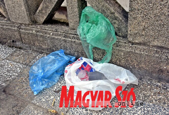 Az előadók külön felhívták a figyelmet a különleges bánásmódot igénylő hulladékokra (Fotó: Gergely Árpád)