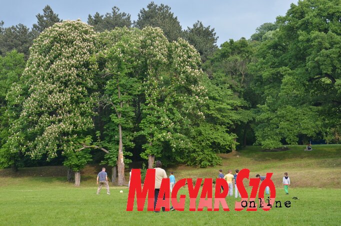 Fotó: Dávid Csilla