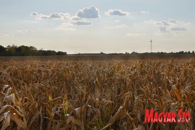 A tagosításnak köszönhetően nagy, egységes parcellák jönnek létre (Lakatos János felvétele)