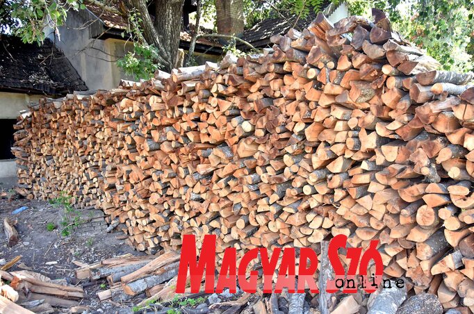 (Fotó: Gergely Árpád)