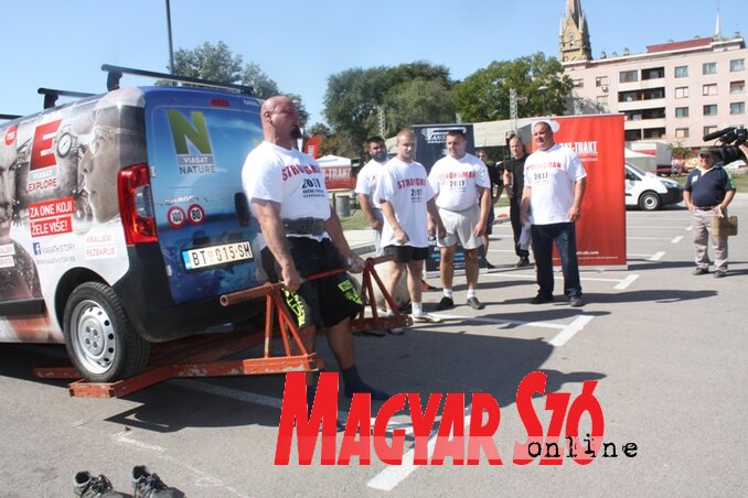 Roninak szinte meg sem kottyant egy gépkocsi (Kazincy Paszterkó Diana felvétele)