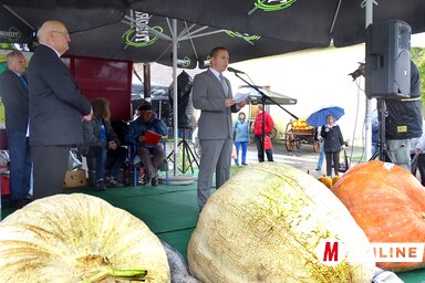 Fotó: Góbor Béla