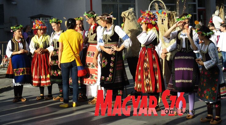 A Vuk Stefanovic Karadžić Szerb Művelődési Központ tarka ruhás táncos lányai a karneváli menetben