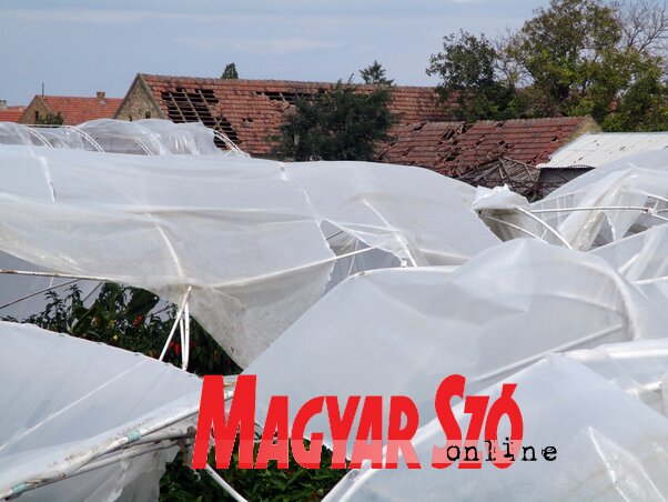 Ennyi maradt Csapó Tibor fóliasátraiból Ennyi maradt Csapó Tibor fóliasátraiból