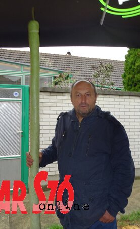 Varga József nyílegyenes kolbásztökjével (Góbor Béla felvétele) Varga József nyílegyenes kolbásztökjével (Góbor Béla felvétele)