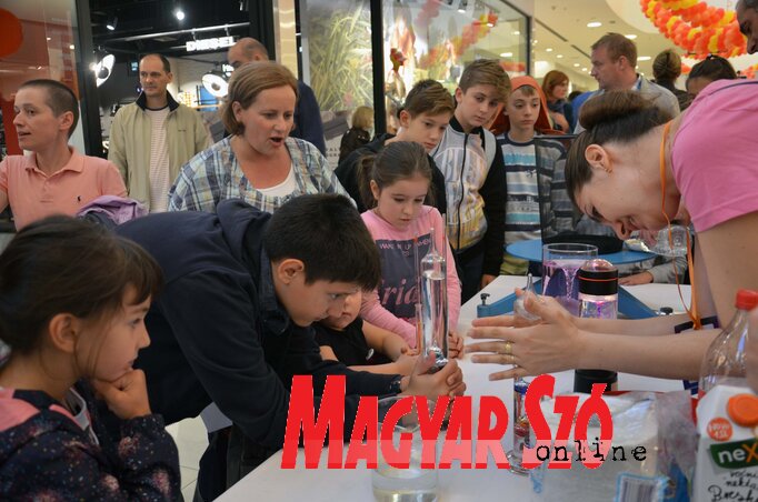 (kép: Dávid Csilla)