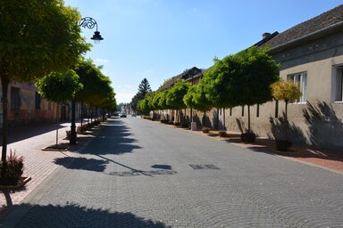 Közlekedni lehet, de tilos a megállás és a parkolás (Fotó: Paraczky László)