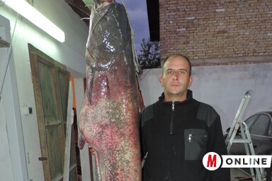 Buzás Mihály felvétele