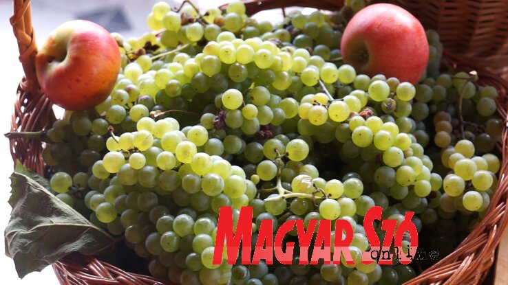 Palicsi Szüreti Napok